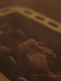 Episodio 9 - El CEO Saul: Amor bajo Contrato