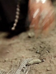 El Corazón de la Traición: La Larga Lucha de la Ancestral - Episode 11