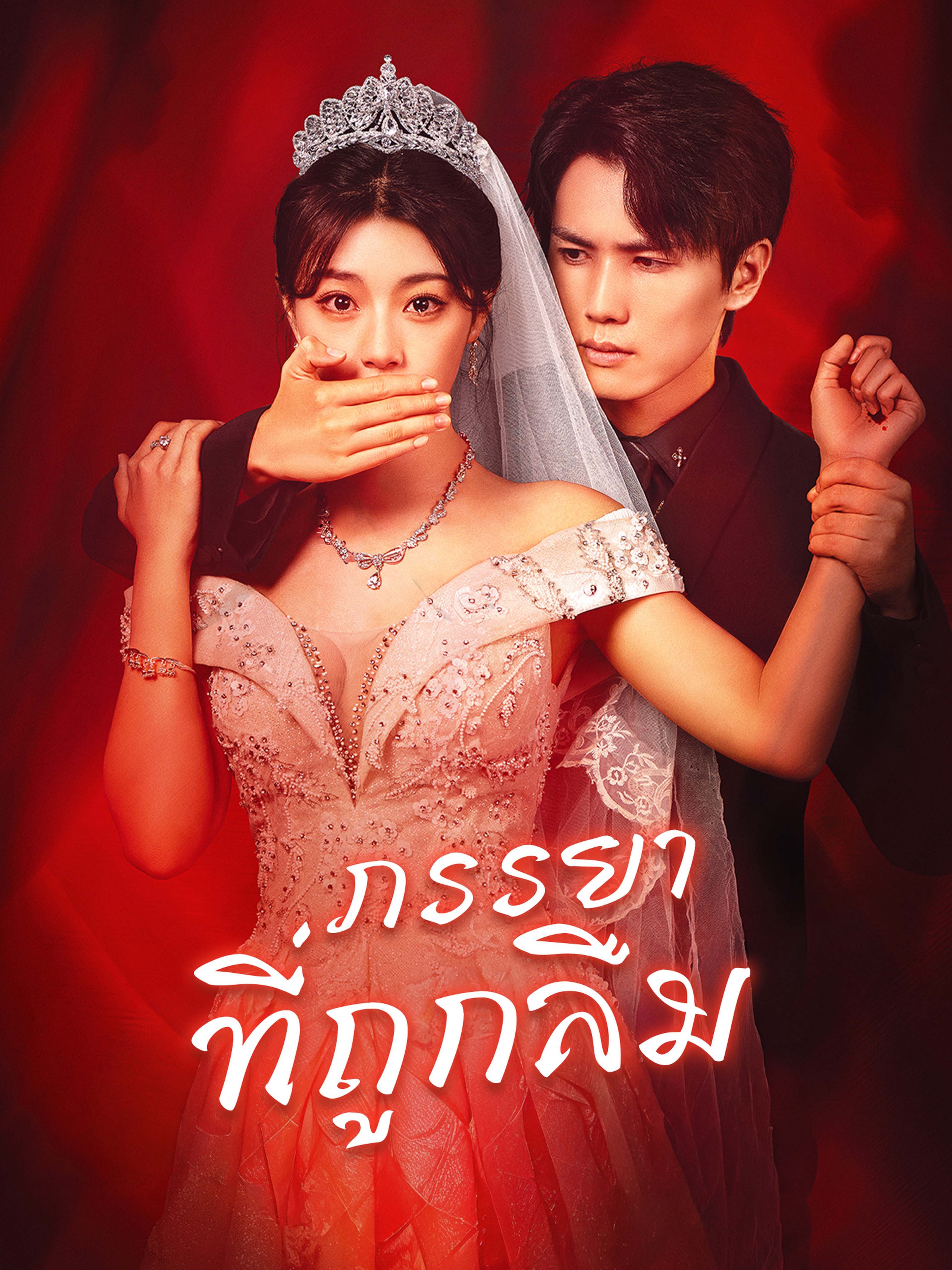 ภรรยาที่ถูกลืม (พากย์ไทย)