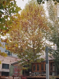 第3集 - 幸得萌孫償孝恩