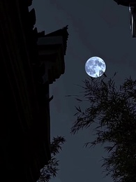 第48集 - 前夫求復合時,我已當皇後