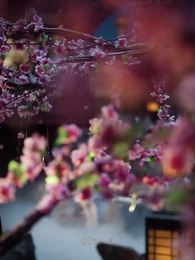 [مدبلج]المحظية بين الحمل والسحر - Episode 1