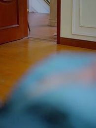 Серия 36 - Любовь на мели