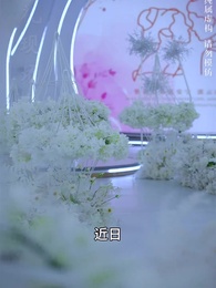 父如高山 - Episode 60