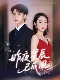 昨夜星辰已成風