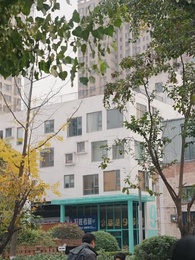 第1集 - 幸得萌孫償孝恩