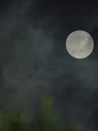 第49集 - 閃婚後，我被冷面老公寵上天