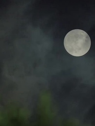 Episodio 49 - Protegida por el hombre más temido