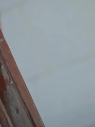 Episodio 12 - La Encrucijada de Amor