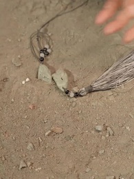 Episodio 16 - El Corazón de la Traición: La Larga Lucha de la Ancestral