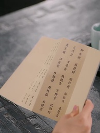 第59集 - 這個王妃路子野，得寵