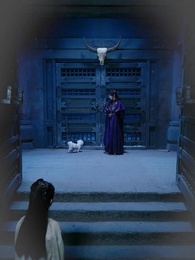 這個王妃路子野，得寵 - Episode 66