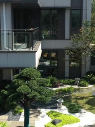 第54集 - 閃婚後，我被冷面老公寵上天