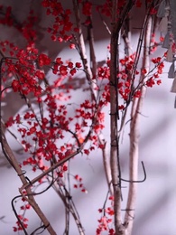 第116集 - 前夫求復合時，我已當皇後