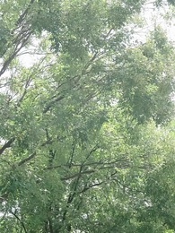 ตอนที่ 28 - ก้าวใหม่บนปลายเท้า