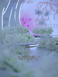 الحلقة 60 - الأب الزعيم الخفي