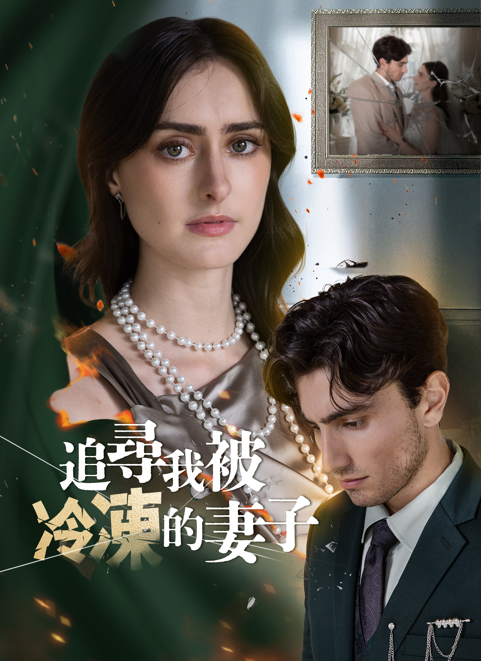 《追尋我被冷凍的妻子》封面