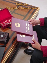 Episodio 74 - Protegida por el hombre más temido