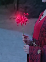 第45集 - 這個王妃路子野，得寵