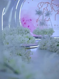 Episode 60 - Mountain-like Father