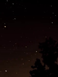 第49話 - [吹替]アルファの恋