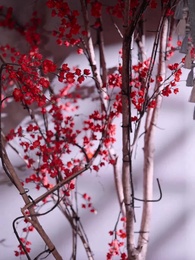 皇后になった私に、復縁だと？ - Episode 116