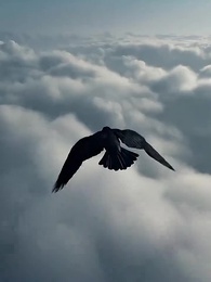 Episode 1 - My Farmer Dad Is Secretly an Archmage