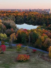 Оракул в крестьянской одежде - Episode 1