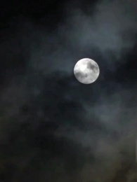 الحلقة 15 - بين أمومة وانتقام: الطبيبة الأسطورة