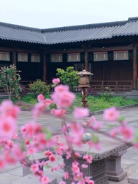 Episode 37 - Aus dem Schatten ins Licht