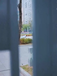 屋檐之下，唯我不容你 - Episode 11