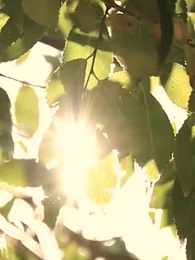 [吹替]アルファの恋 - Episode 62