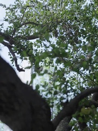 伴郎竟是我億萬前任 - Episode 11