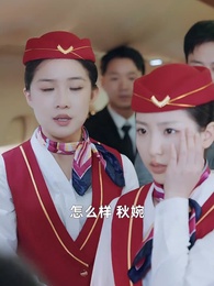 第13集 - 飛上天也是麻雀