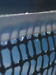 第5集 - 冠軍的隱藏祕密