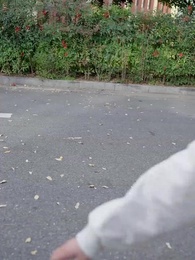 Two Faces: The Teller's Fall - Episode 8