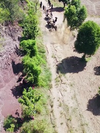 Episode 60 - Prajurit Berdarah Baja