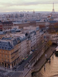 Bölüm 20 - Yanlış Hayatlar, Doğru Aşk