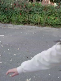 Episodio 8 - Las Dos Caras de la Naturaleza Humana