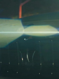 屈服於我的黑幫戀人（咬清梨） - Episode 14