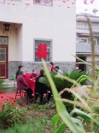 第45集 - 飛上天也是麻雀