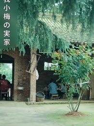 第1話 - [吹替]梅の花が満開に