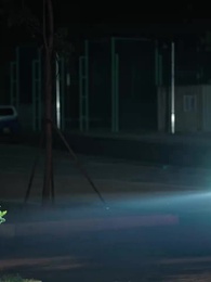 Episode 76 - [Synchron] Die verborgene Erbin