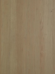 暴君がメイド服で料理？元令嬢を追放した夫の末路 - Episode 3