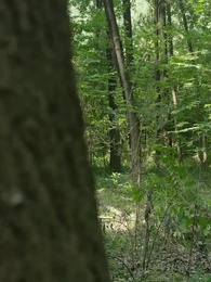 الحلقة 67 - [مدبلج] ‎أنا خالد الأبدية