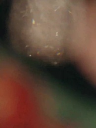 Episodio 33 - Mi Divorcio, Tu Quiebra