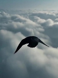 L’Oracle Caché - Episode 1