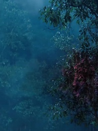 Episode 7 - [Dijuluki]Tuan Gelap