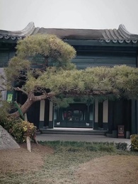 I, the Master? - Episode 4