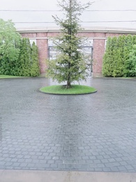 第16集 - 速配婚姻：年輕社長的契約